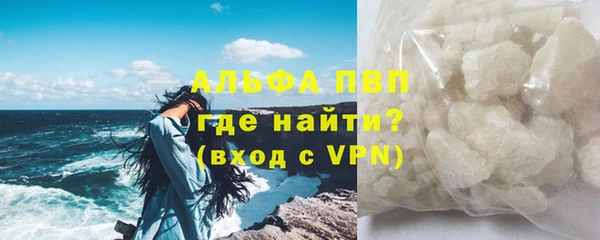 дмт Гусев
