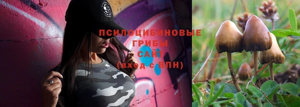 дмт Гусев