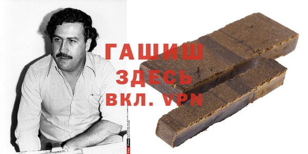 дмт Гусев