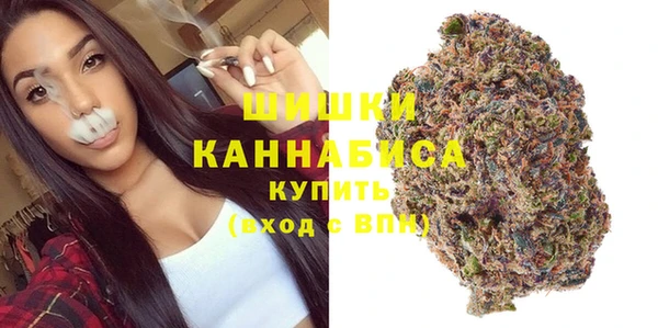 дмт Гусев