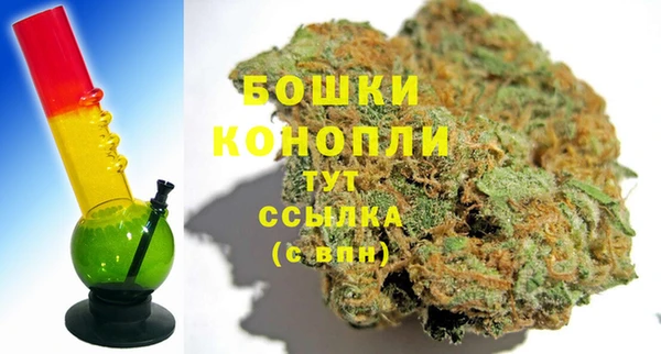 дмт Гусев