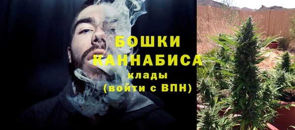 крисы Гусиноозёрск