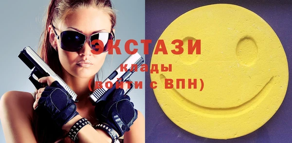дмт Гусев